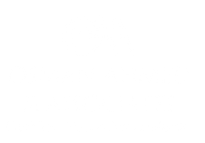 Untitled design (56)